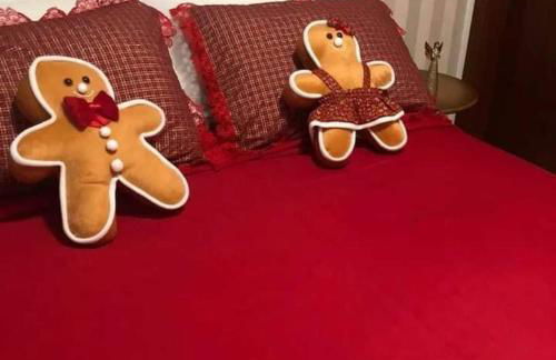 Hortênsiailedefrance - Foto 31