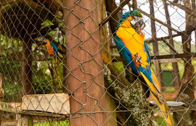 Yellow Village - Foto 31