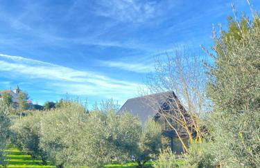 Casa das Nogueiras - Foto 1