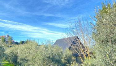 Casa das Nogueiras - Foto 1