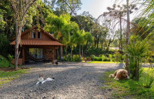 Chalé Nosso Paraiso RV Rio Cristalino e Lago - Foto 12