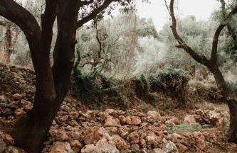 Prinus Country Retreat Apokoronas, heated pool, 13km from the sea - Photo 50