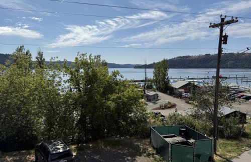 Above the Shot Harrisons Gem - Foto 17