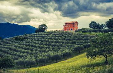 Santa Giusta - Foto 26