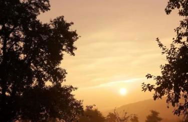 Ferienwohnung Am Steinchen - Foto 14