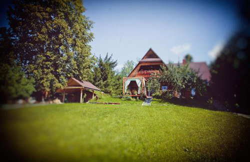 Miętowy Anioł - Foto 51