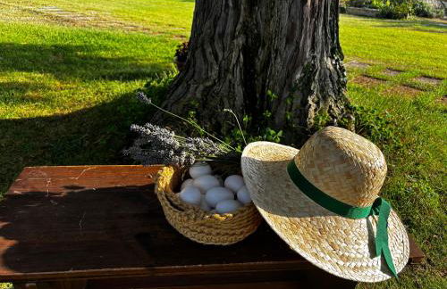 La Villa dei Nonni - Foto 64