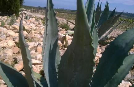 Mas des 4 Vents - Foto 42