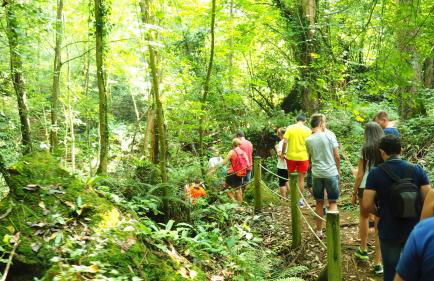 Apartamentos Rurales "La Torre" y "El Pielago" - Foto 60