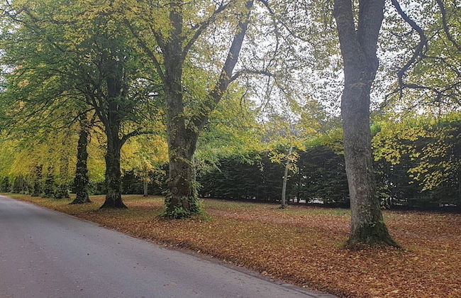 Atholl Rd Self Catering - 131 - Foto 22