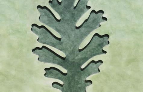 Veragua. Glamping y Apartamentos turísticos - Photo 10