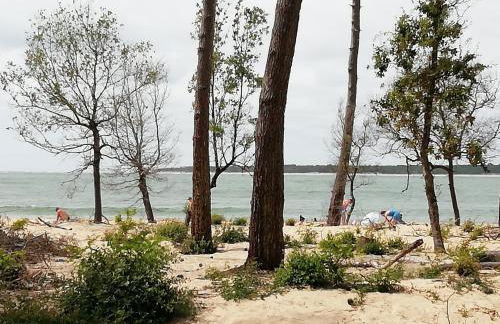 Maison RONCE LES BAINS - Foto 27