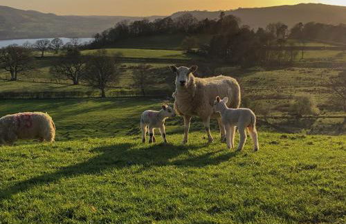 Jemima's Cottage - Foto 23