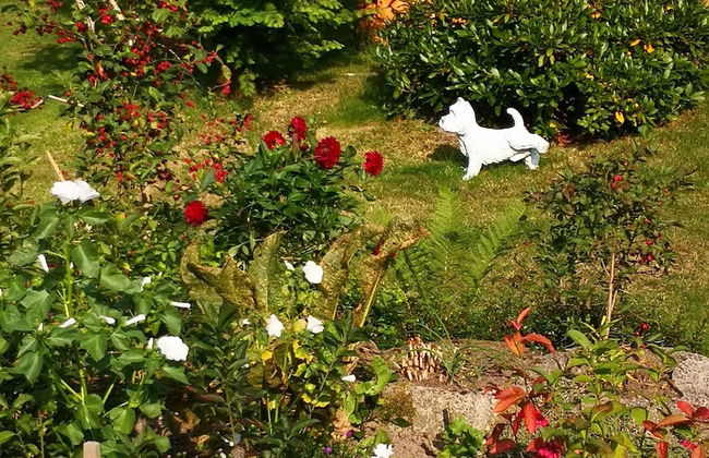 Cozy Retreat Near Rennsteig - Photo 33