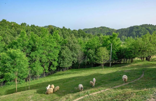 Apartment in Istria With Nature Views - Foto 30