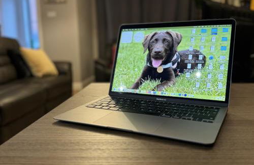 Number 30 The ORCHARDS - Photo 11