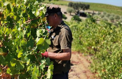 Paredes com Memória - Foto 17