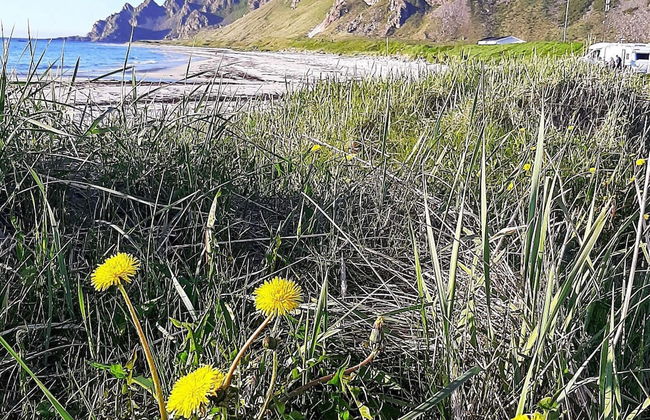 8 Person Holiday Home in Sortland-by Traum - Foto 24