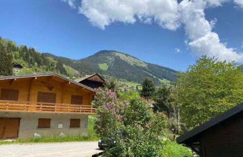 Chalet confortable 5 chambres à Châtel avec WIFI - FR-1-693-1 - Foto 17