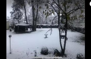 Fun Franz for 6 Persons - Foto 48