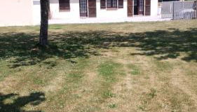 Maison Normande - Le Mesnil en Ouche - Foto 1, Garden