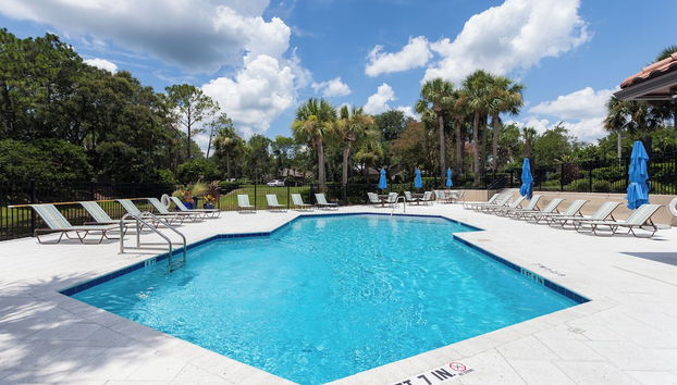 Servizio della struttura