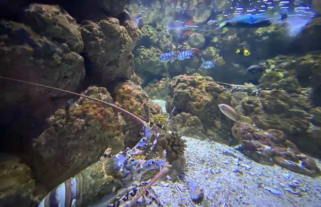 Reef Gateway Apartments - Photo 44