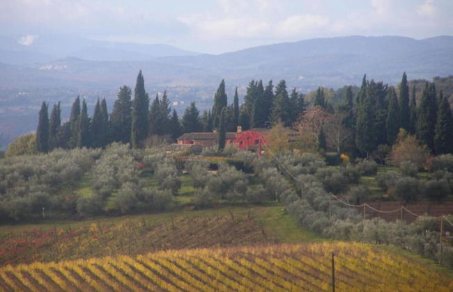 Charming Vineyard Escape - Foto 32