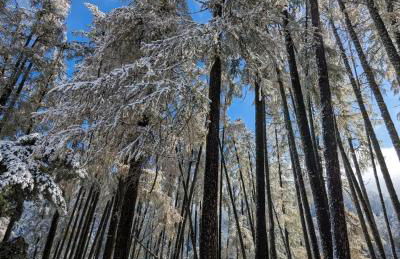 Appt à Ancelle pied des pistes - Foto 34