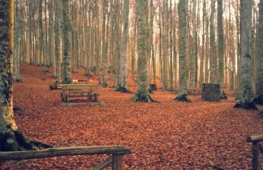 La Casa di Adelina - Foto 9