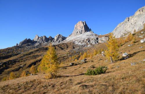 Cesa Fossal - Foto 33