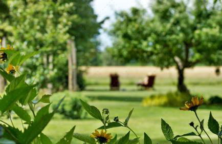 JANISCHs Fewo im Spreewald, Terrasse, großer Garten und Blick inklusive - Foto 23