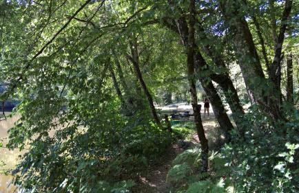 Gîtes LES Fougeres DU LAC - Foto 33