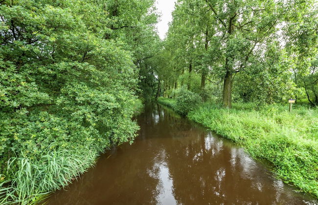 Holiday Home in Oisterwijk With Private Pool - Foto 31