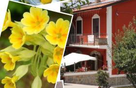 Villa Manca - Photo 54