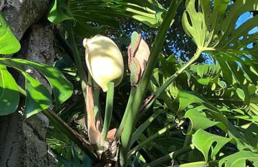 Casa Žerotín - Foto 35