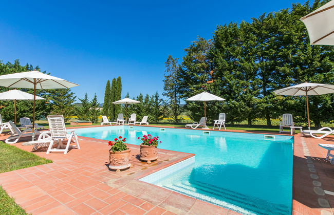 Rossogiallo - Foto 34