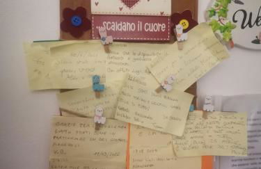 Le camelie - Foto 30