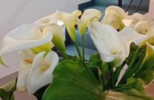 Da zia Iole a piazza Armerina città dei mosaici patrimonio dell'unesco - Foto 31