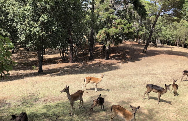 Bellavista - Foto 79