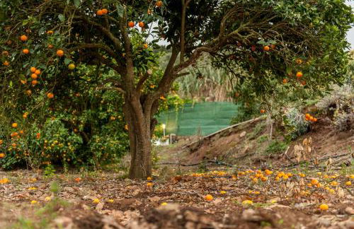 Villa Finca Los Castanos - Panoramic View - Foto 46