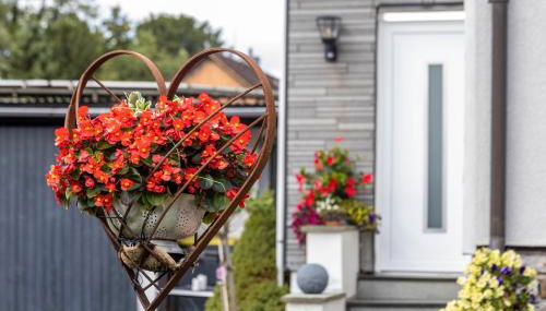 Fewo Mama Mia - Foto 3