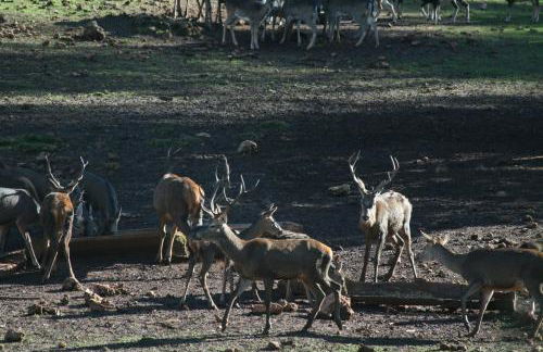 Apartamentos Mirasierra - Foto 26