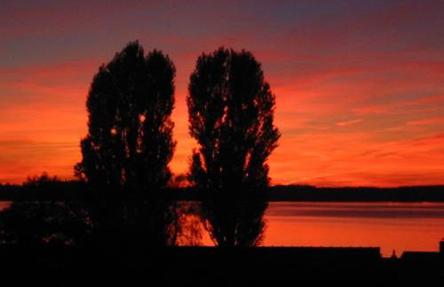 Ferienwohnungen Am Seeufer 11 - Foto 23