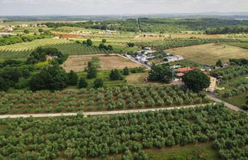 Leonardo House - Foto 36