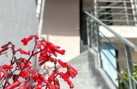 Grandmother's House - Foto 43