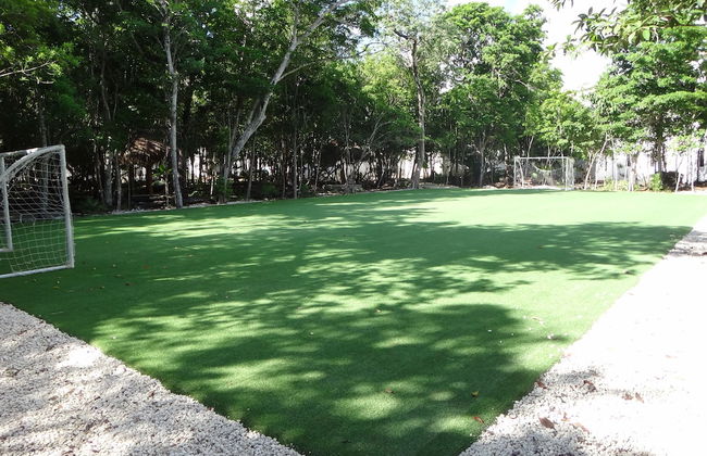 Tropical Paradise Apartment - Photo 23