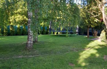 Domek pod Brzozami z jacuzzi ,grillem i tarasem - Foto 37