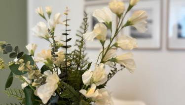 Grüne Oase am Geiseltalsee - Foto 4