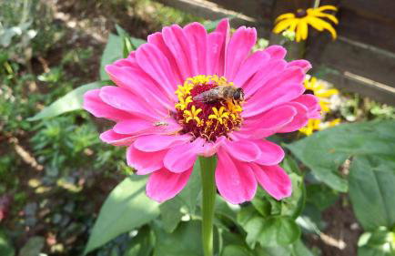 Haus Bergblick - Foto 37